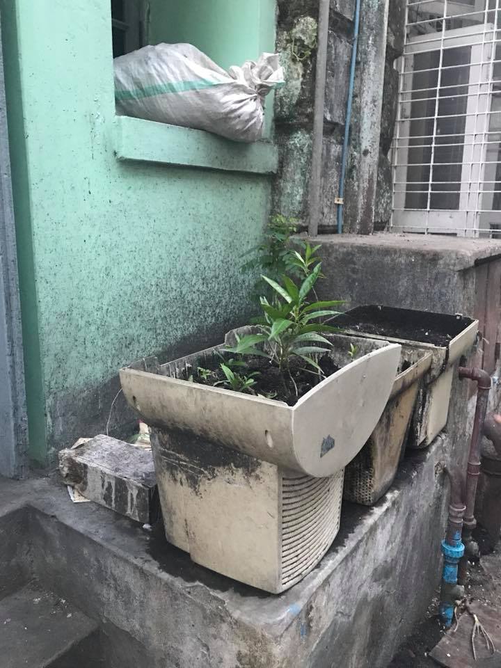 29598289_1999652370299869_2812123649814765127_n