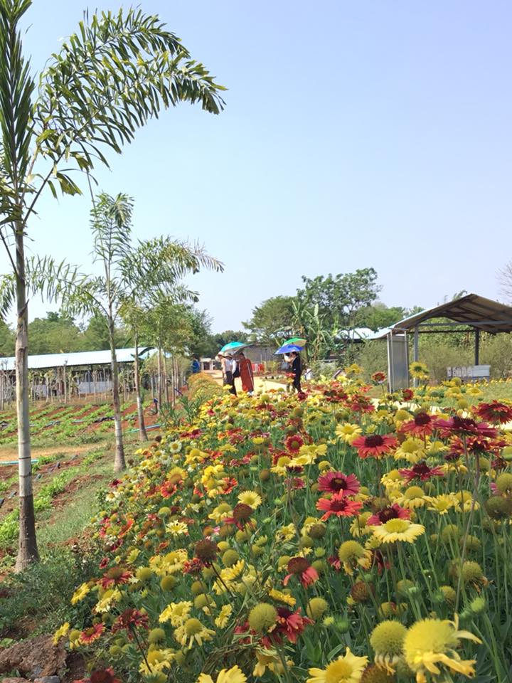 30623619_853112804877054_7885205066603298816_n