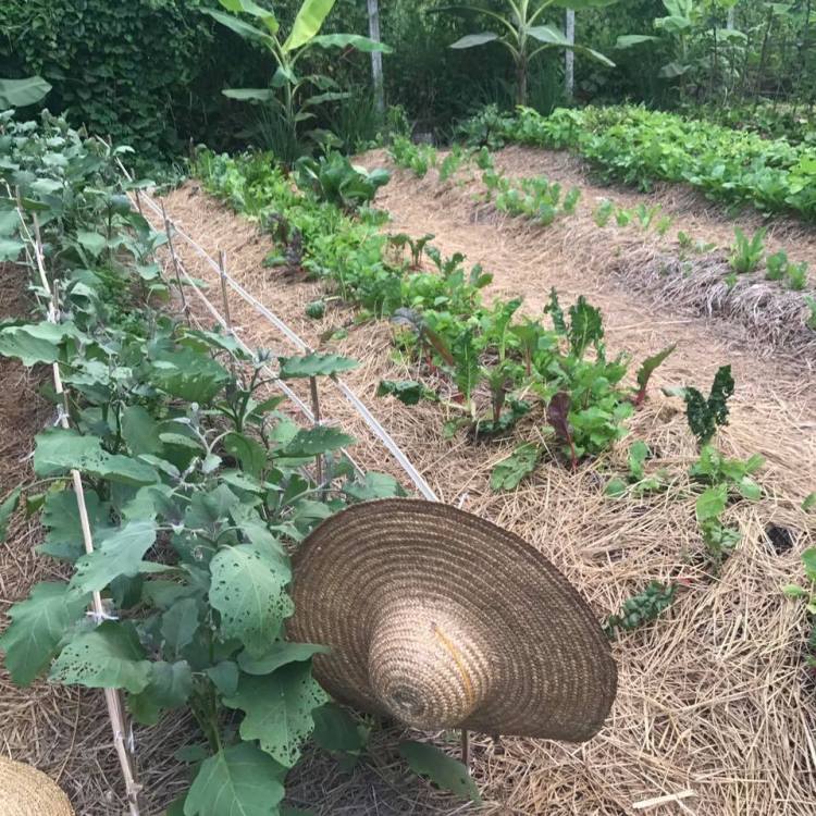 31562201_2010526155879157_6816916578886941330_n