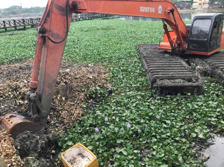 32105728_2014605885471184_3330660633111691264_n