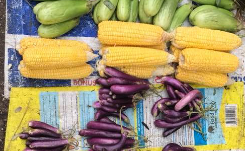 32366660_2017510335180739_7225739359725551616_n