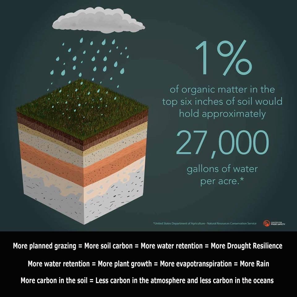 UNADJUSTEDNONRAW_thumb_790d